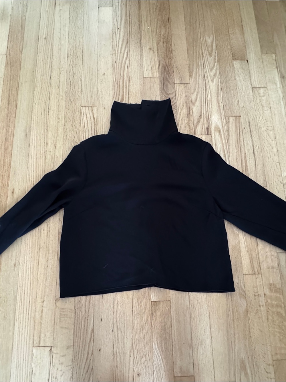Aritzia black turtle neck